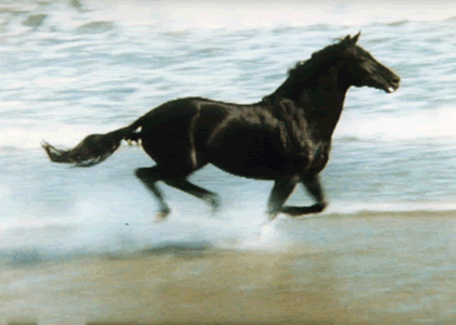 Beatos Lloyds Bank Horse