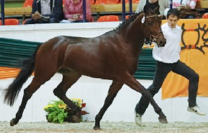 Cristobal